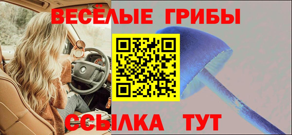 Галлюциногенные грибы мицелий Тулун
