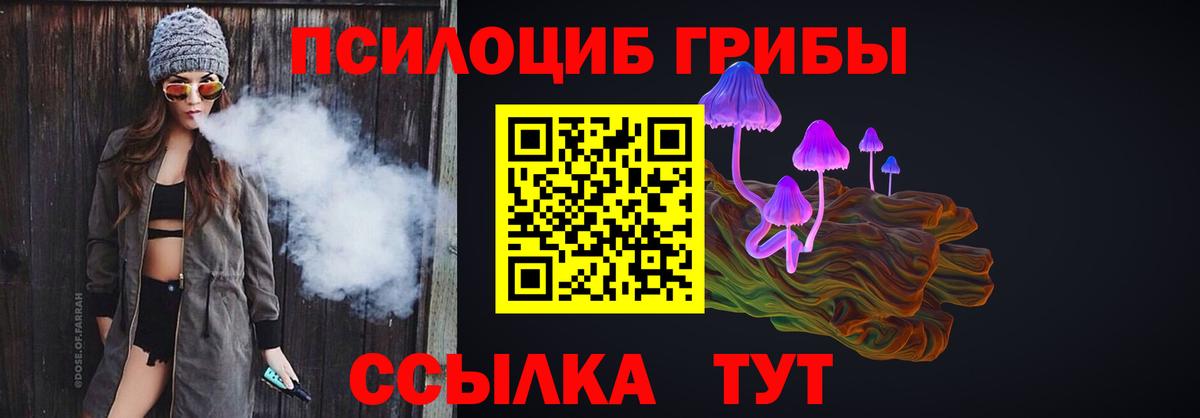 Галлюциногенные грибы MAGIC MUSHROOMS  Псилоцибиновые грибы прущие грибы  Вход с VPN  купить  цена  Тулун 